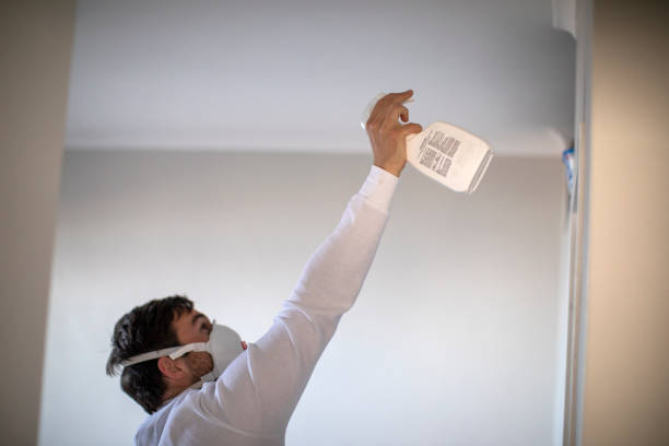 Best Mold Remediation  in Bowling Green, VA