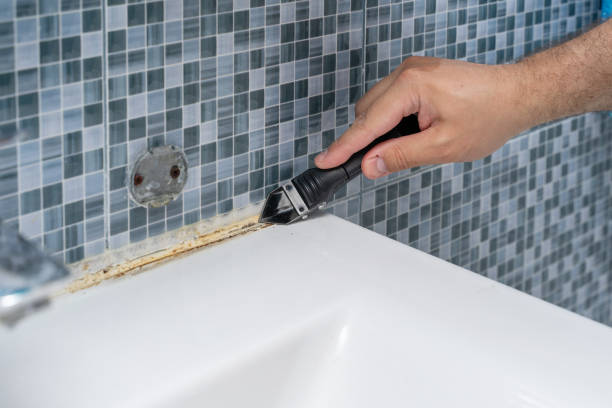 Best Black Mold Removal  in Bowling Green, VA