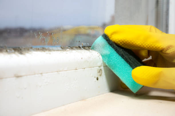 Best Mold Testing  in Bowling Green, VA